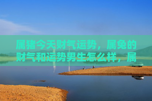 属猪今天财气运势，属兔的财气和运势男生怎么样，属兔男生的运势和财富状况
