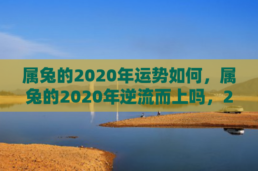 属兔的2020年运势如何，属兔的2020年逆流而上吗，2020年属兔的会有财运吗