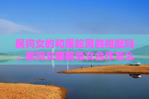 属狗女的和属蛇男的相配吗，属狗女跟属兔女合作怎么样，属狗女跟属兔女的合作效果