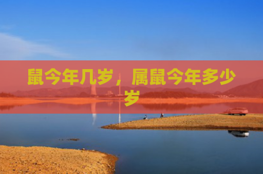 鼠今年几岁，属鼠今年多少岁