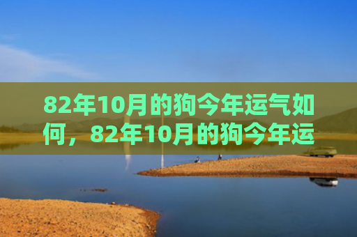 82年10月的狗今年运气如何，82年10月的狗今年运气如何