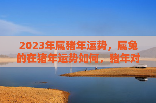 2023年属猪年运势，属兔的在猪年运势如何，猪年对属兔的人的影响