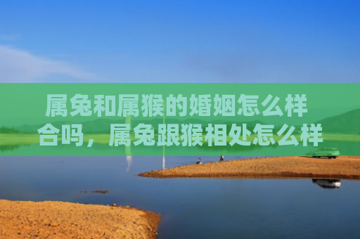 属兔和属猴的婚姻怎么样 合吗，属兔跟猴相处怎么样呢婚姻，属兔人和属猴人的婚姻怎样