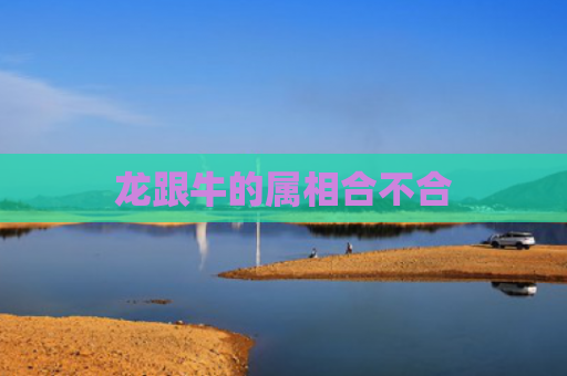 龙跟牛的属相合不合