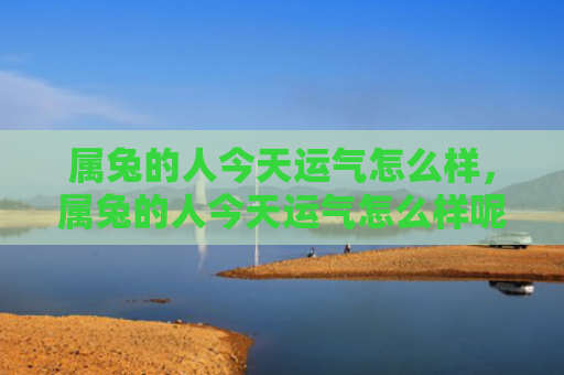 属兔的人今天运气怎么样，属兔的人今天运气怎么样呢，今天属兔的人的运气状况