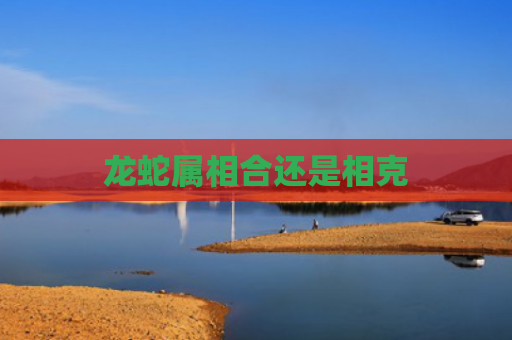 龙蛇属相合还是相克