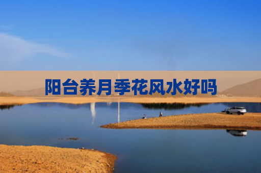 阳台养月季花风水好吗