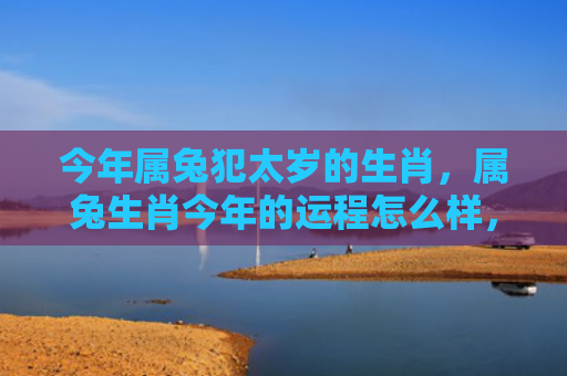 今年属兔犯太岁的生肖，属兔生肖今年的运程怎么样，属兔的今年运程如何