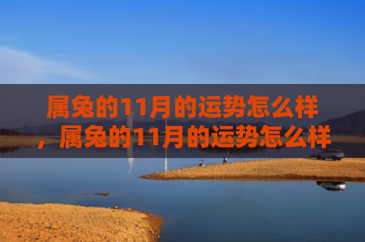 属兔的11月的运势怎么样，属兔的11月的运势怎么样，属兔的你幸运指数飙升