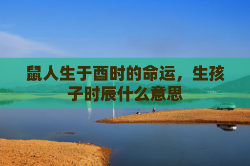 鼠人生于酉时的命运，生孩子时辰什么意思