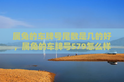 属兔的车牌号尾数是几的好，属兔的车牌号579怎么样，属兔的车牌号579的寓意