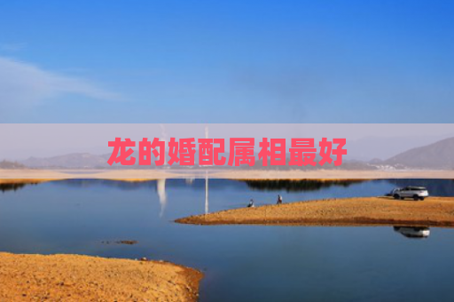 龙的婚配属相最好