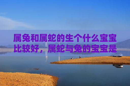 属兔和属蛇的生个什么宝宝比较好，属蛇与兔的宝宝是好朋友吗，属蛇与兔的宝宝个性有何不同