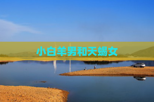 小白羊男和天蝎女