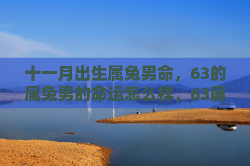 十一月出生属兔男命，63的属兔男的命运怎么样，63属兔男的命运之谜