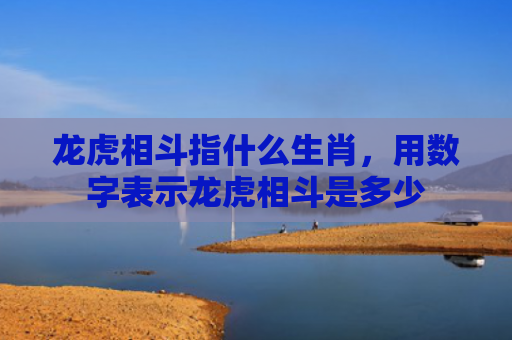 龙虎相斗指什么生肖，用数字表示龙虎相斗是多少