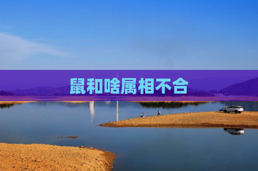 鼠和啥属相不合