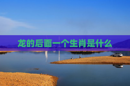 龙的后面一个生肖是什么