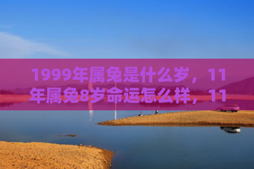 1999年属兔是什么岁，11年属兔8岁命运怎么样，11年属兔8岁的运势和性格特点