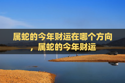 属蛇的今年财运在哪个方向，属蛇的今年财运