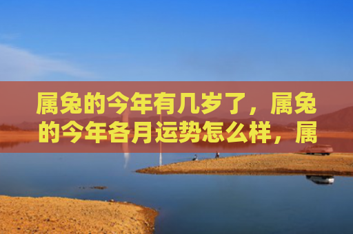 属兔的今年有几岁了，属兔的今年各月运势怎么样，属兔的今年各月运势如何