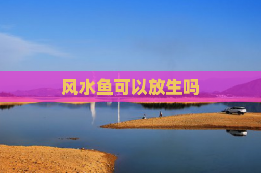 风水鱼可以放生吗