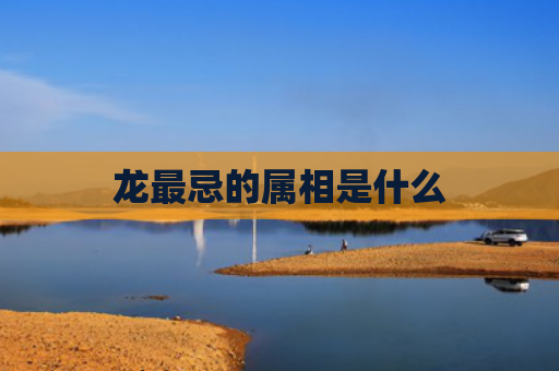 龙最忌的属相是什么