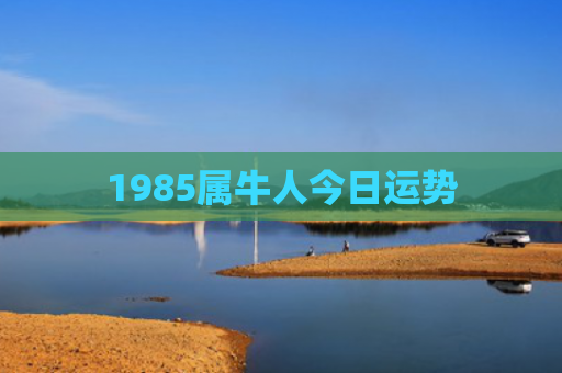 1985属牛人今日运势