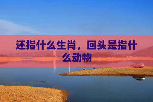 还指什么生肖，回头是指什么动物