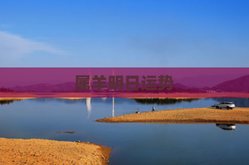 属羊明日运势