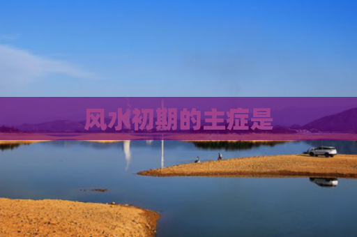 风水初期的主症是