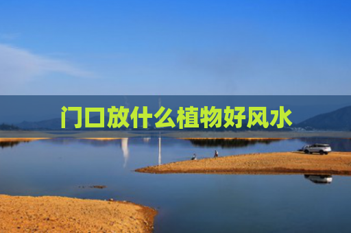 门口放什么植物好风水
