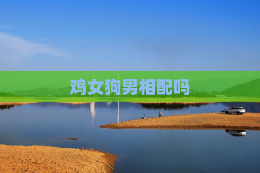 鸡女狗男相配吗