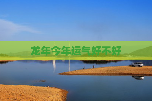 龙年今年运气好不好