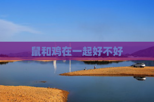 鼠和鸡在一起好不好
