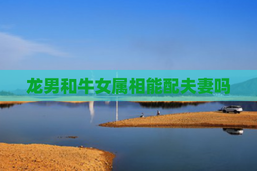龙男和牛女属相能配夫妻吗