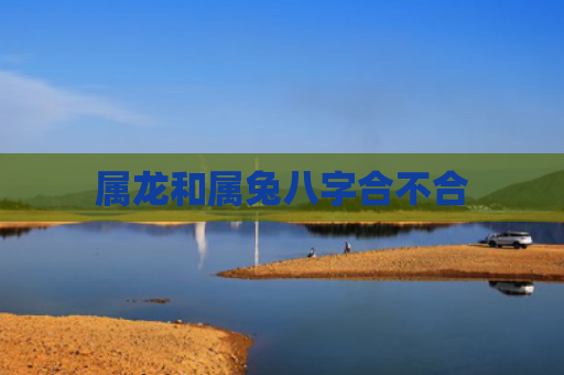 属龙和属兔八字合不合