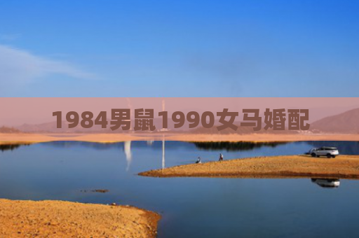 1984男鼠1990女马婚配