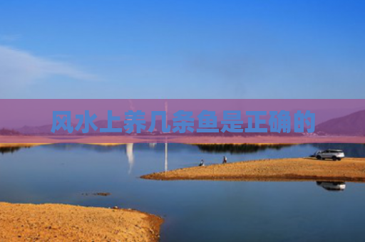 风水上养几条鱼是正确的