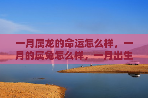一月属龙的命运怎么样，一月的属兔怎么样，一月出生的属兔的性格特点