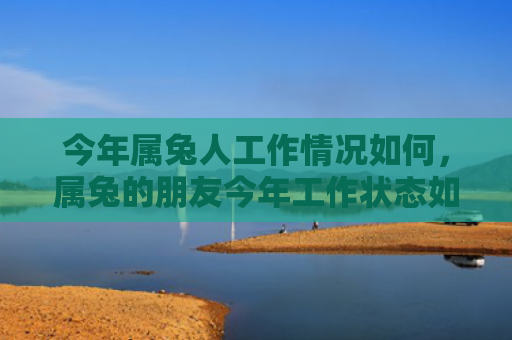 今年属兔人工作情况如何，属兔的朋友今年工作状态如何