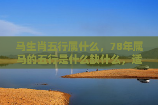 马生肖五行属什么，78年属马的五行是什么缺什么，适合干哪一行