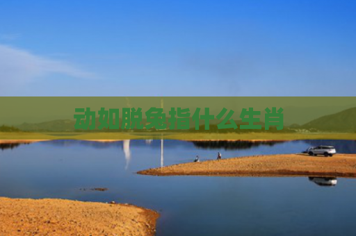 动如脱兔指什么生肖