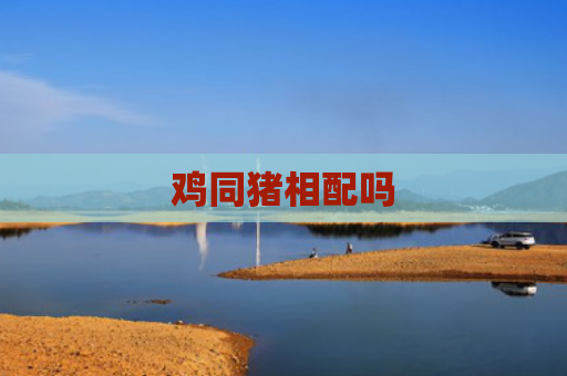 鸡同猪相配吗
