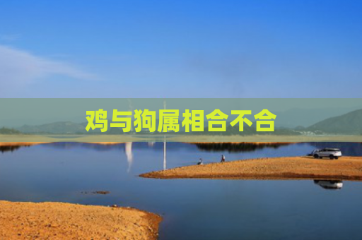 鸡与狗属相合不合