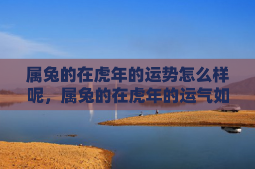 属兔的在虎年的运势怎么样呢，属兔的在虎年的运气如何，属兔的运势如何