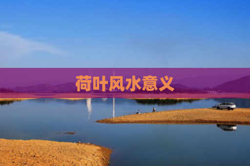 荷叶风水意义