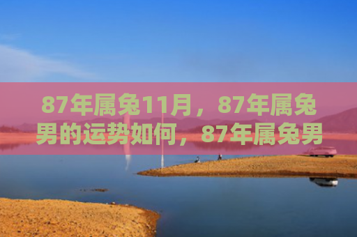 87年属兔11月，87年属兔男的运势如何，87年属兔男的运势预测