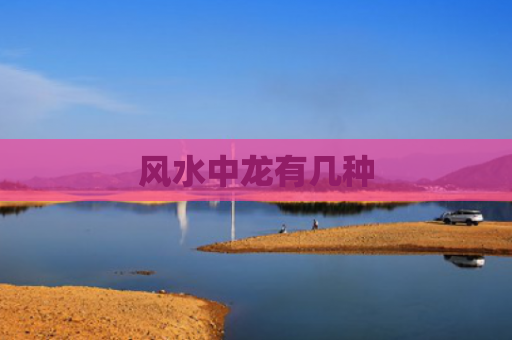 风水中龙有几种