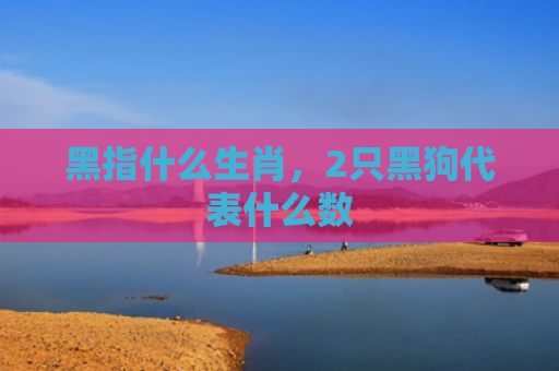 黑指什么生肖，2只黑狗代表什么数